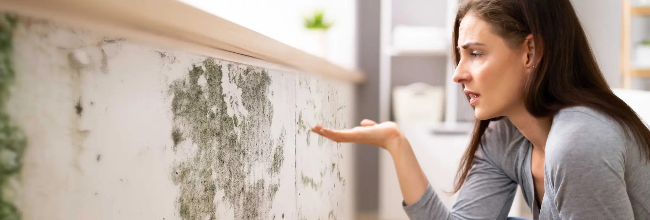 Brush Coating Schweiz Brush Coating Schweiz